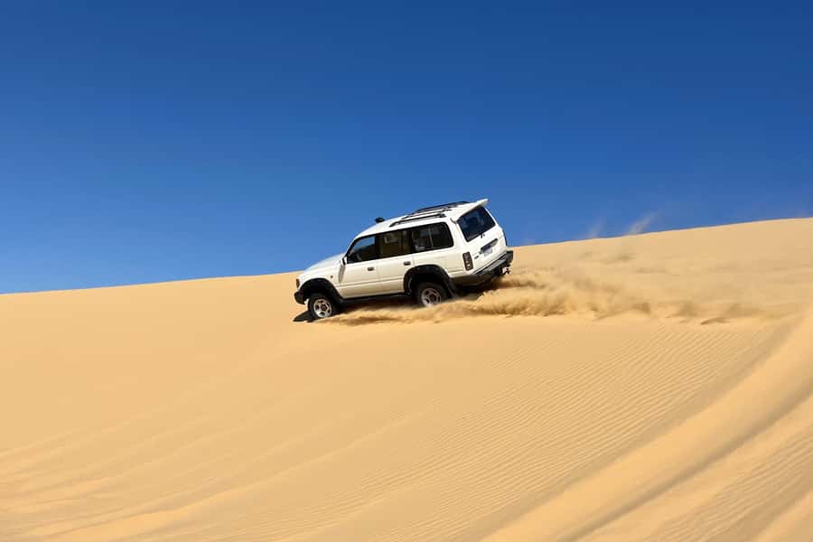 From Cairo: Desert Safari, Camel Ride, Magic Lake, & Lunch - Transport, timing, and group style