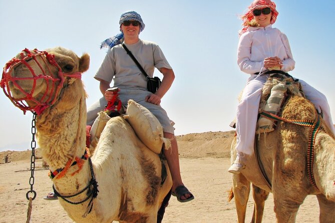 From Cairo: Desert Safari, Waterfalls, Sand boarding and Camel ride with Lunch - Lunch at a Bedouin desert camp