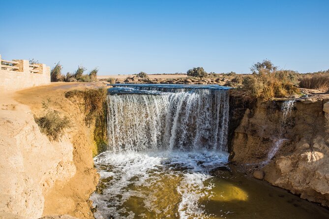 From Cairo: Desert Safari, Waterfalls, Sand boarding and Camel ride with Lunch - Guides, drivers, and the human side of the day