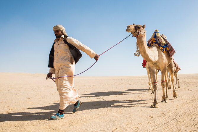 From Cairo: Desert Safari, Waterfalls, Sand boarding and Camel ride with Lunch - Camel riding with a Bedouin feel