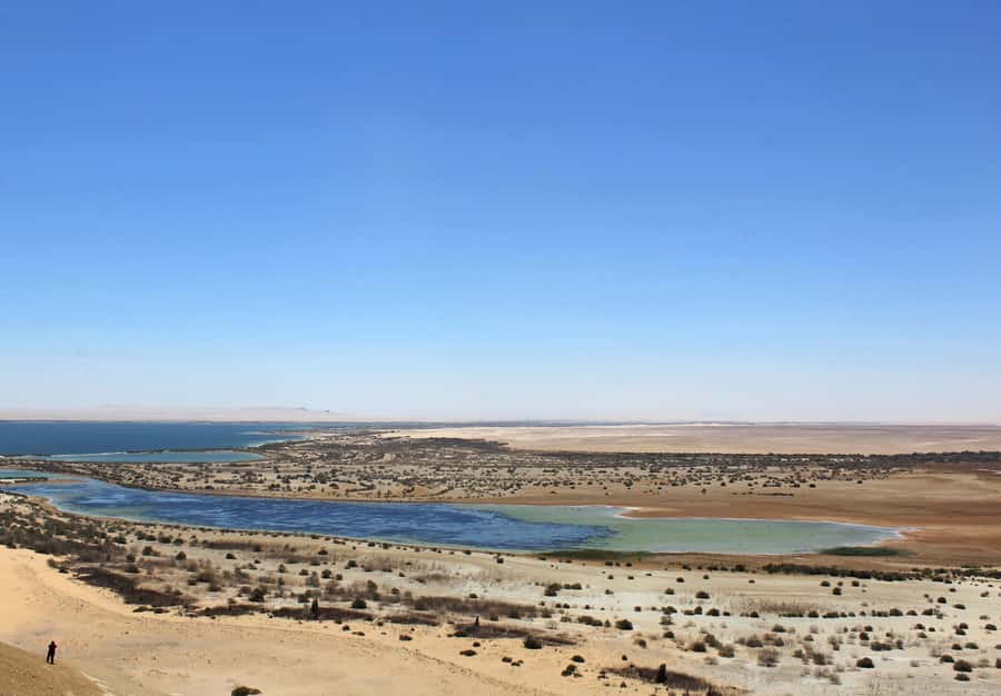 From Cairo: Full-Day Tour to El Fayoum - Wadi Al-Hitan and the 40-Million-Year-Old Whales