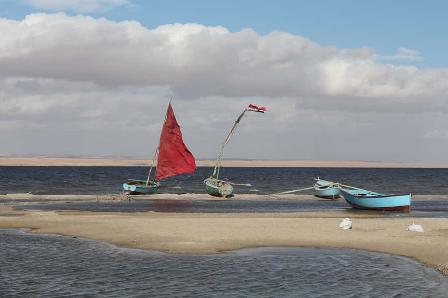 From Cairo: Full-Day Tour to El Fayoum - Wadi El Rayan Waterfalls in a Dry Country