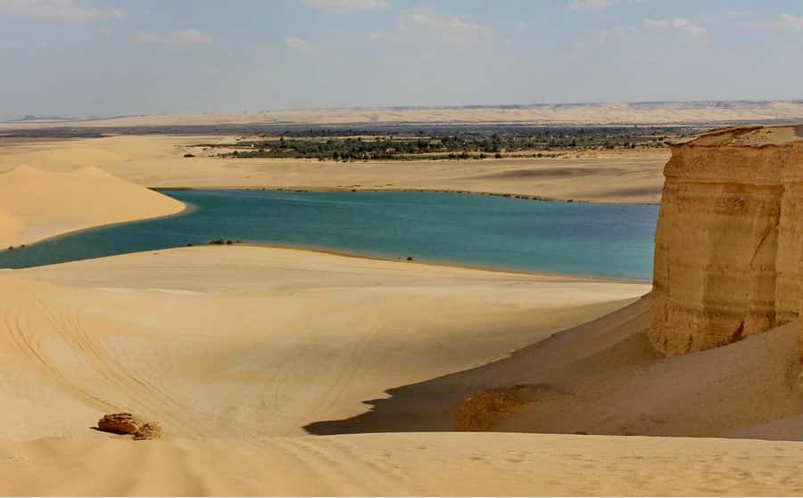 From Cairo: Full-Day Tour to El Fayoum - Tunis Village and the First View Across the Oasis