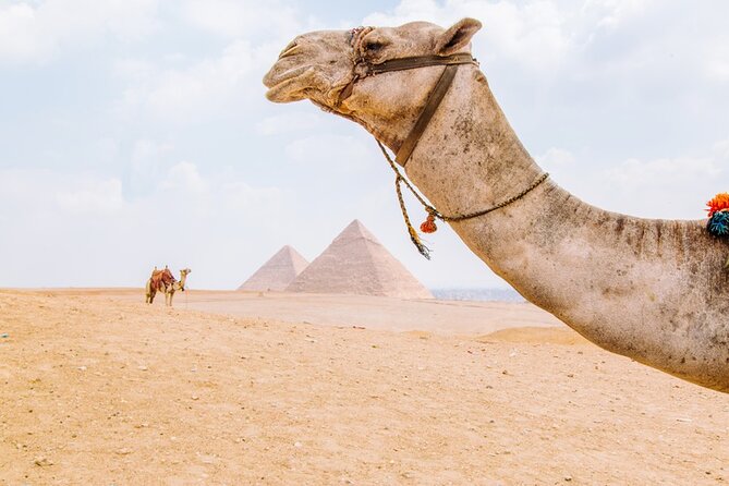 From Cairo: Private Crowd Free Half Day Pyramids Adventure - Why an Early Giza Visit Makes Such a Difference