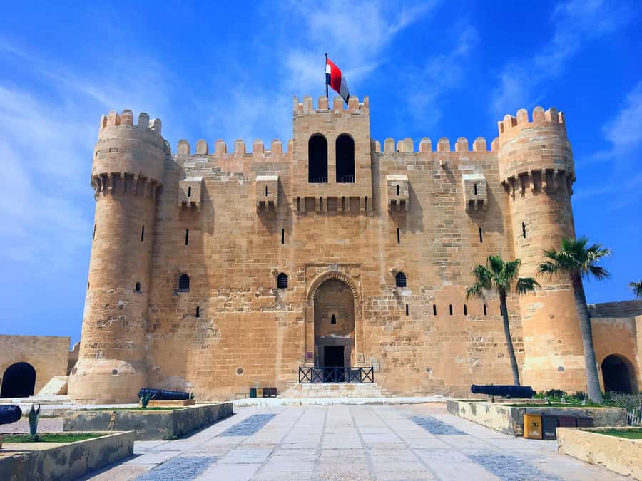 From Cairo: Private Full-Day Tour of Historical Alexandria - Is $65 good value for a Cairo day trip?