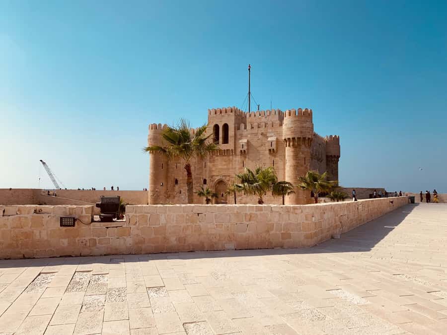 From Cairo: Private Luxurious Day Trip to Alexandria - Pompey’s Pillar and the Serapeum area