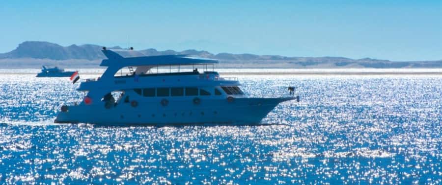 From Cairo: Snorkeling Trip on Yacht with Lunch - Leaving Cairo for the Red Sea