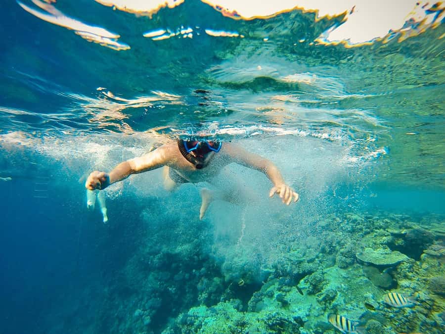 From Cairo: Snorkeling Trip on Yacht with Lunch - Arriving at Ain Sokhna and joining the yacht