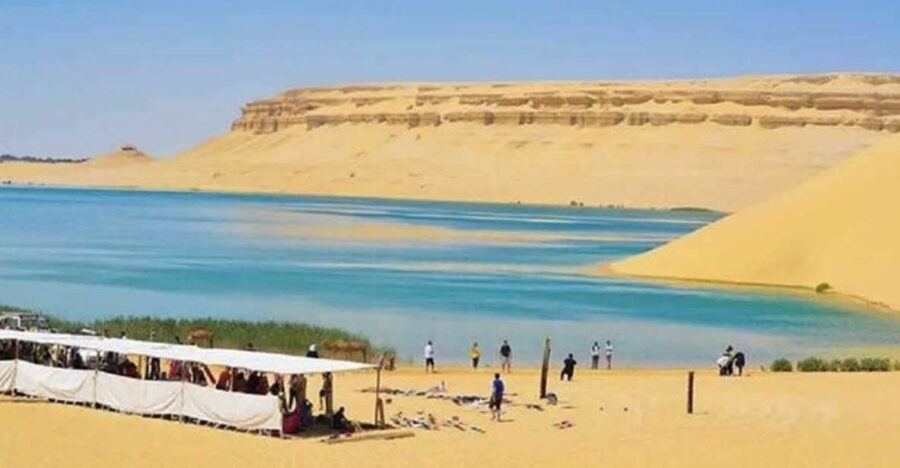 From Cairo: Whale Valley and Wadi El Rayan Waterfalls Tour - Key points to know before booking