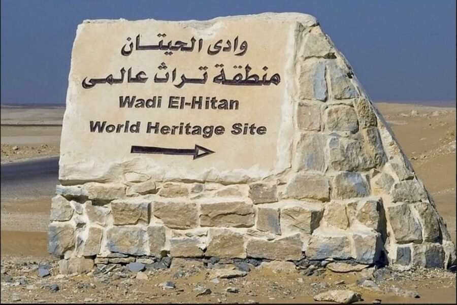 From Cairo: Whale Valley and Wadi El Rayan Waterfalls Tour - Leaving Cairo for Fayoum’s open desert