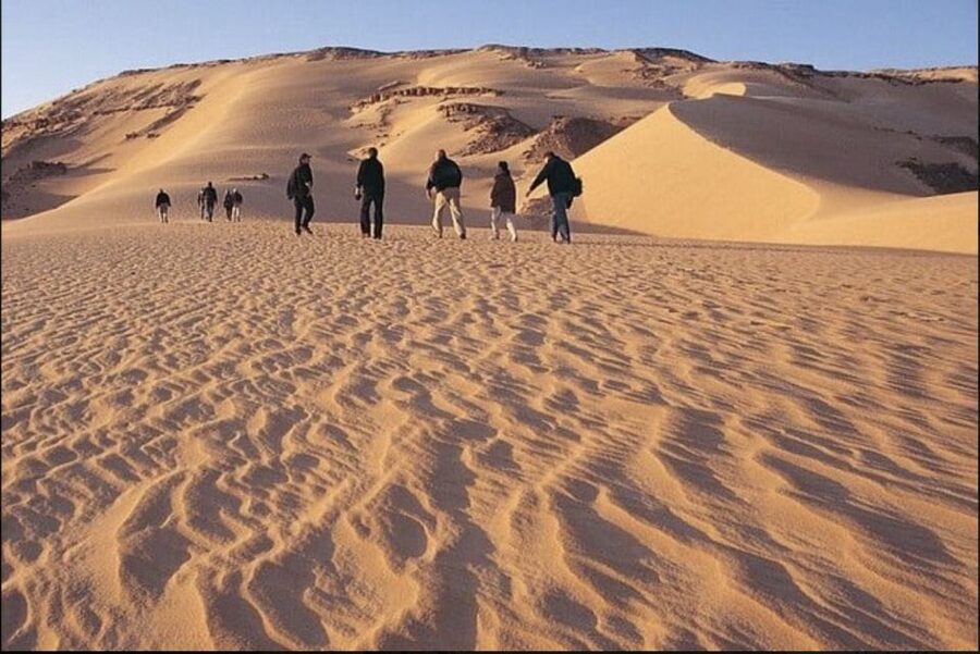 From Cairo: Whale Valley and Wadi El Rayan Waterfalls Tour - Qarun Lake, saltwater beside the desert