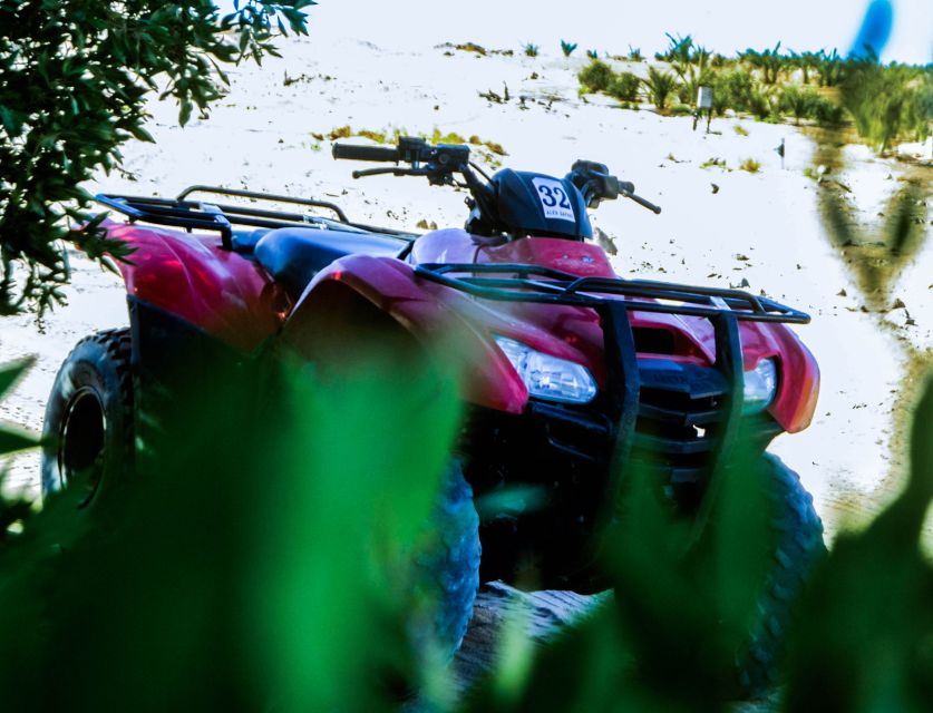 From El Gouna: Dry Canyon Quad Bike Morning Tour - How the $68 price holds up
