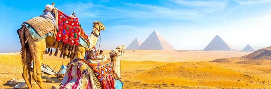 From Giza: Day tour to Giza Pyramids Tour with Pickup - Why this four-hour Giza tour works well