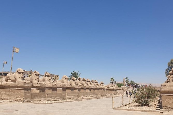 From Hurghada Individual excursion to Luxor & the Valley of the Kings - Who should book this Luxor day trip?