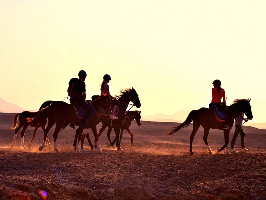 From Hurghada: Makadi Bay Horse Riding Tour - Key points to know before booking