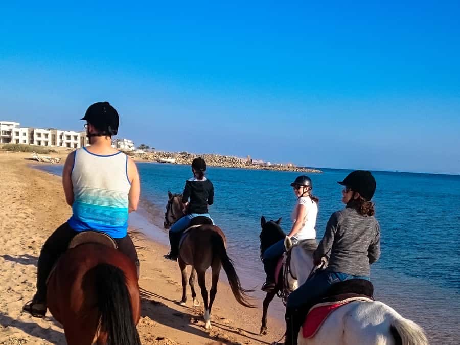 From Hurghada: Makadi Bay Horse Riding Tour - Safety, horses, and riding ability