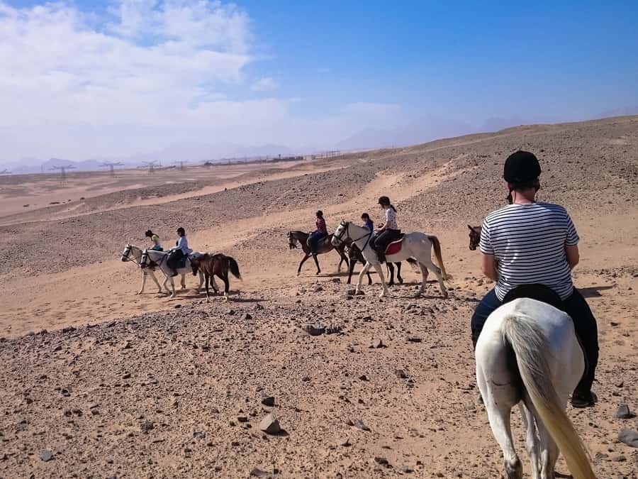 From Hurghada: Makadi Bay Horse Riding Tour - The two-hour desert and coastal route