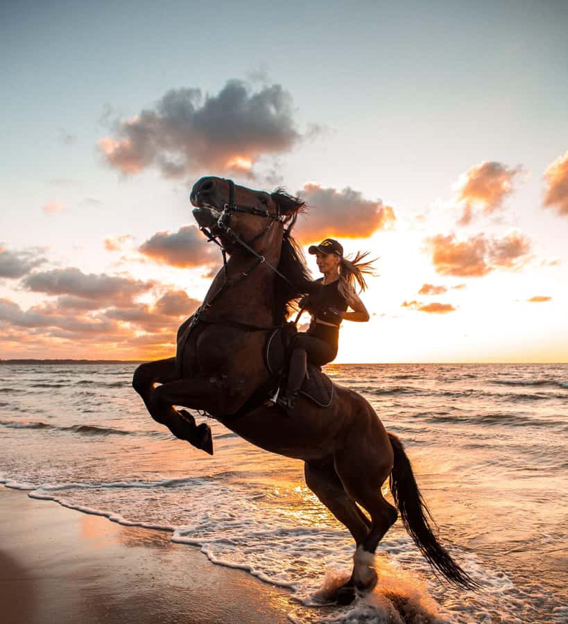 From Hurghada: Makadi Bay Horse Riding Tour - Sunrise, sunset, dinner, and stargazing
