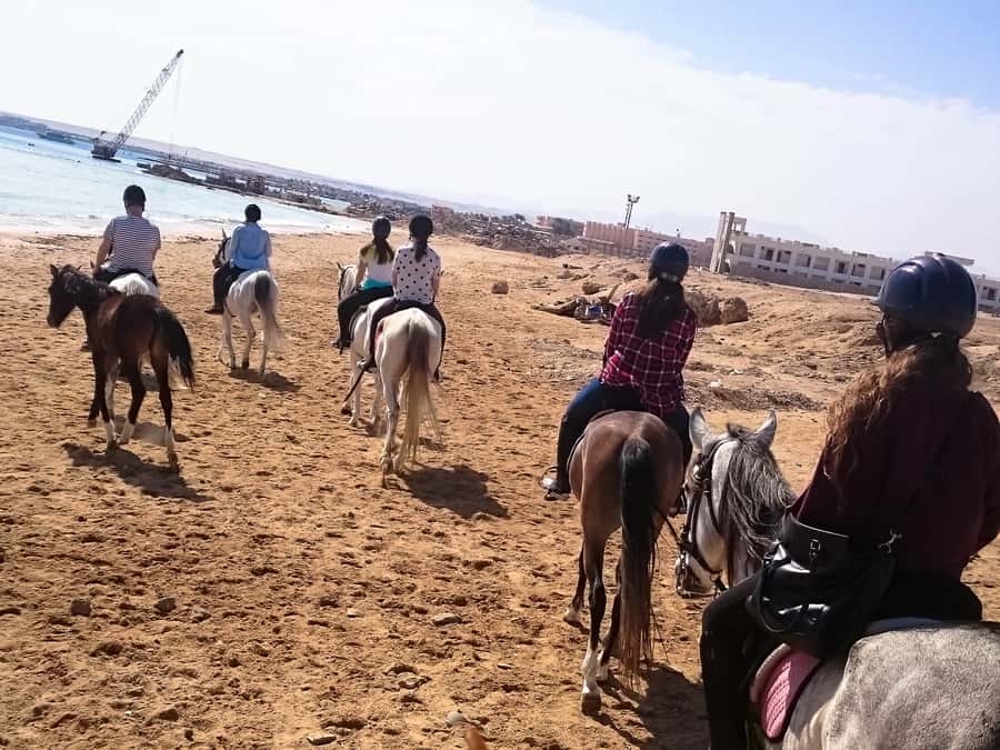 From Hurghada: Makadi Bay Horse Riding Tour - The four-hour VIP swim stop