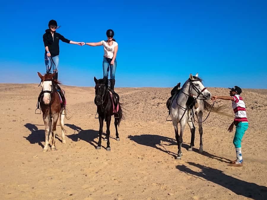 From Hurghada: Makadi Bay Horse Riding Tour - Transport, group size, and value at $20