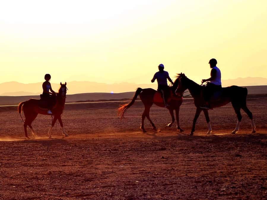 From Hurghada: Makadi Bay Horse Riding Tour - Choosing between the ride options