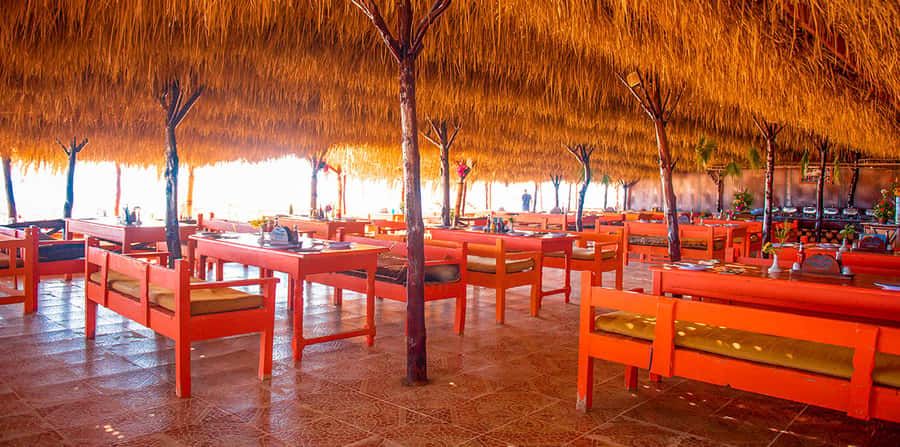 From Hurghada: Paradise Island Snorkeling Cruise with Lunch - The crew can make or break the day
