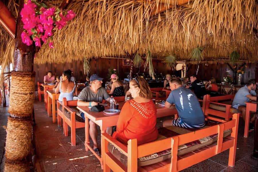 From Hurghada: Paradise Island Snorkeling Cruise with Lunch - Who should book this Paradise Island trip?