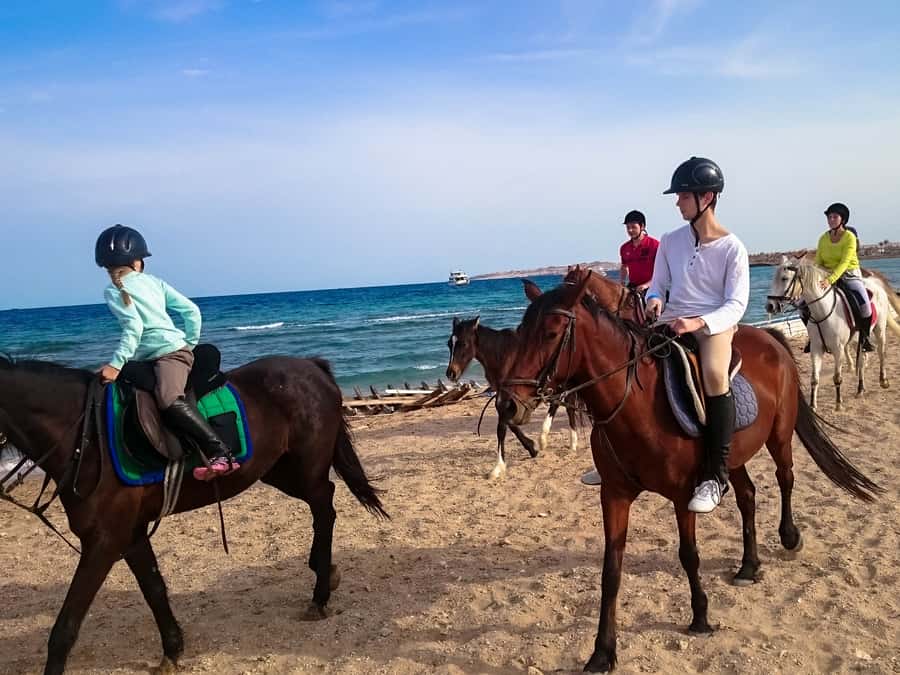From Hurghada: Red Sea Sunrise and Desert Horseback Riding - Sunrise, breakfast, afternoon, and sunset choices