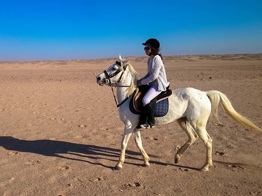 From Hurghada: Red Sea Sunrise and Desert Horseback Riding - Practical advice for a comfortable ride