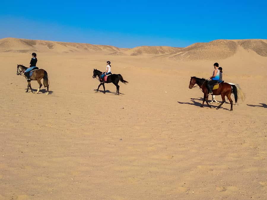From Hurghada: Red Sea Sunrise and Desert Horseback Riding - Who should book this experience?