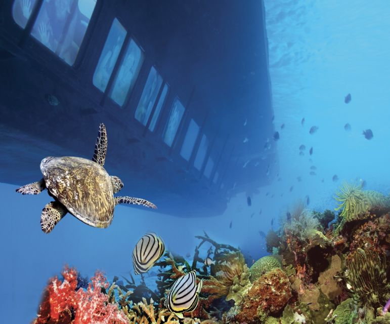 From Safaga: Royal Seascope Submarine with Snorkeling - What the $22 price includes
