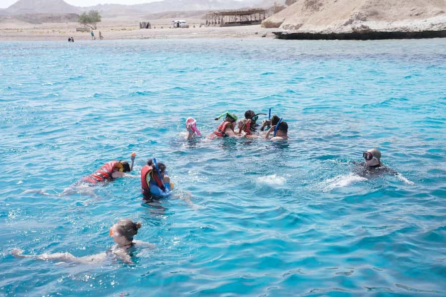 From Sharm: Half day Snorkeling Trip with Lunch - What to expect at the reef stop