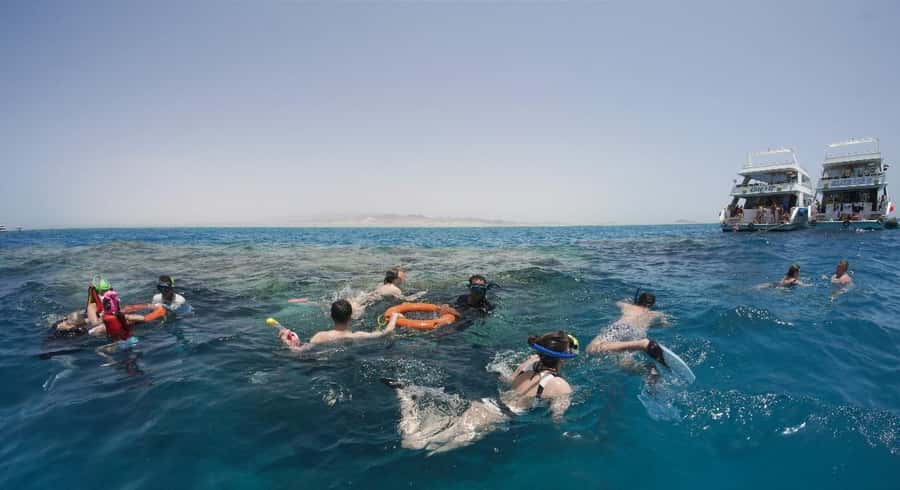 From Sharm: Half day Snorkeling Trip with Lunch - Staff, languages, and the feel of the day