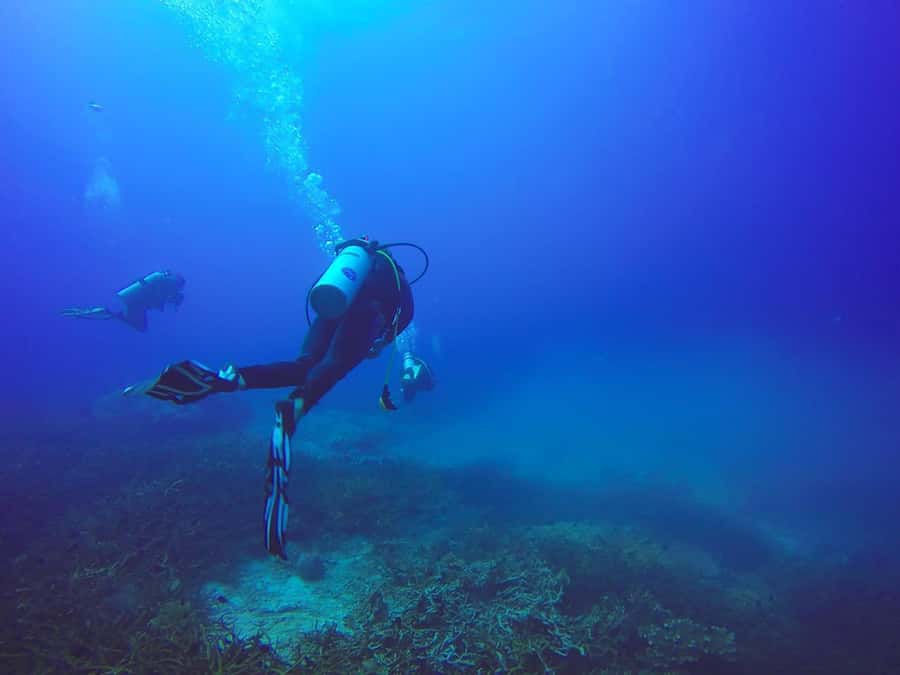 From Sharm: Luxury Diving cruise to Ras Mohammed with Lunch - Snorkeling and the second Ras Mohammed stop