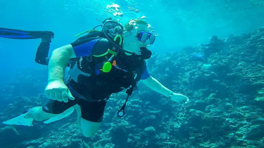 From Sharm: Luxury Diving cruise to Ras Mohammed with Lunch - The return to Sharm El Sheikh