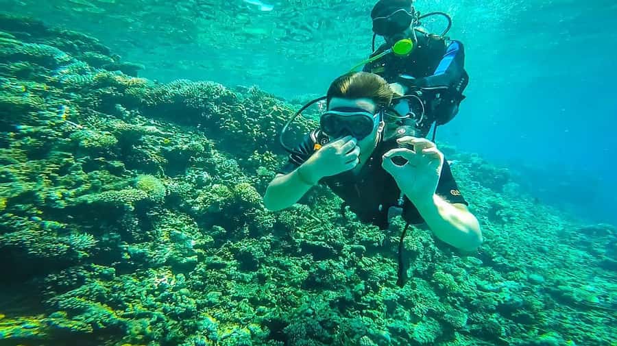 From Sharm: Luxury Diving cruise to Ras Mohammed with Lunch - Booking tips that can prevent trouble
