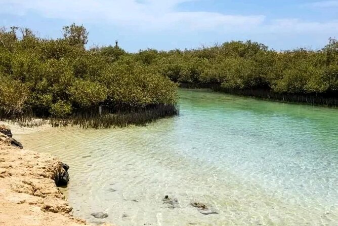 From Sharm: Ras Mohamed National Park and Magic Lake Day Tour - The Ancient Earthquake Crack