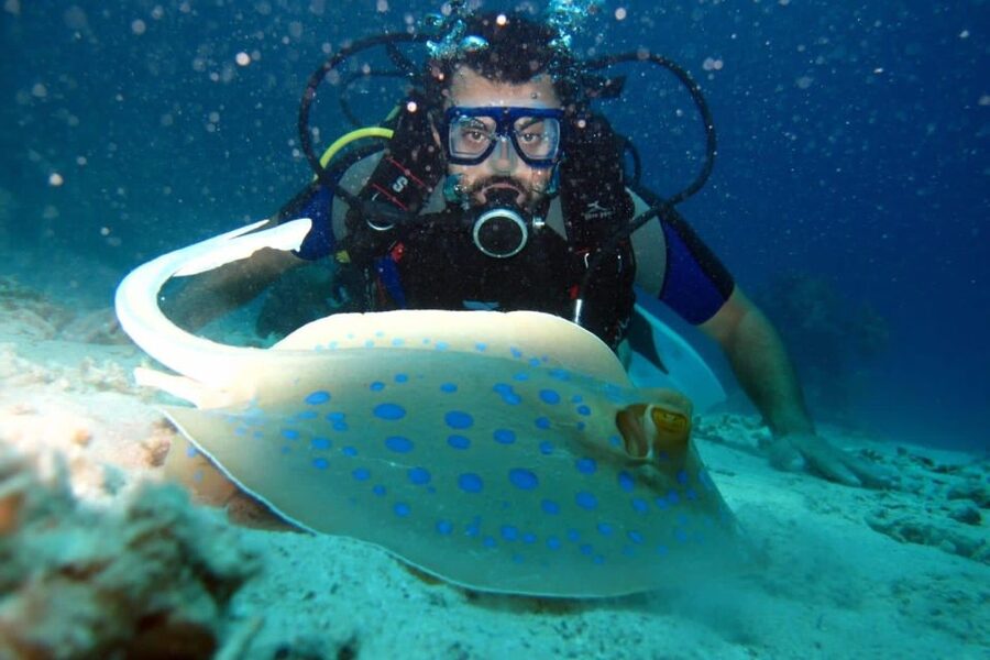 From Sharm: Ras Mohammed snorkeling cruise & optional diving - Timing, comfort, and what to bring