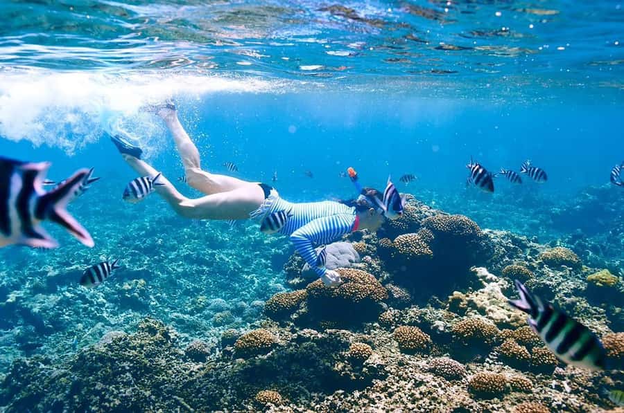 From Sharm: Ras Mohammed snorkeling cruise & optional diving - White Island and the tide question