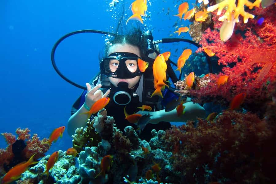 From Sharm: Ras Mohammed snorkeling cruise & optional diving - The introductory scuba option