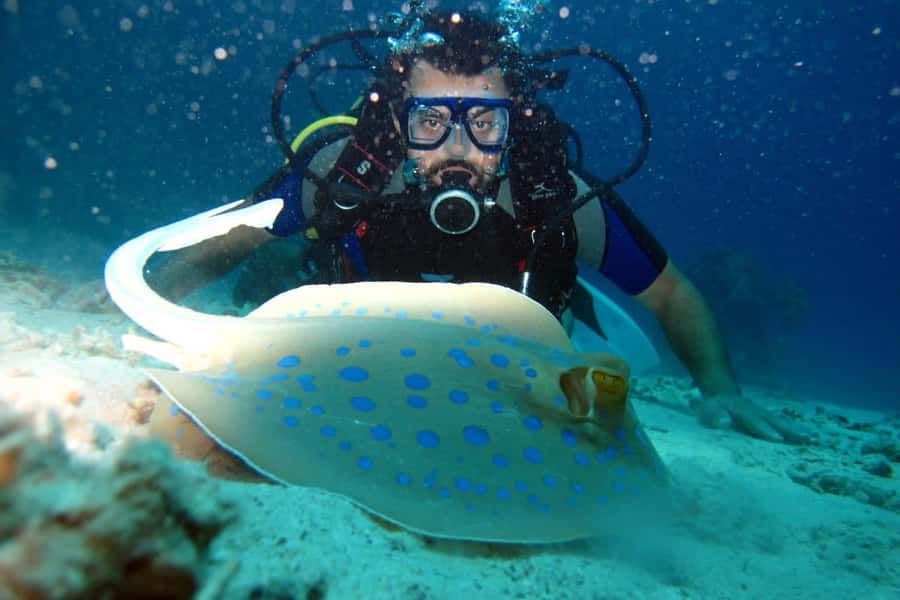 From Sharm: Ras Mohammed snorkeling cruise & optional diving - Lunch on the upper deck