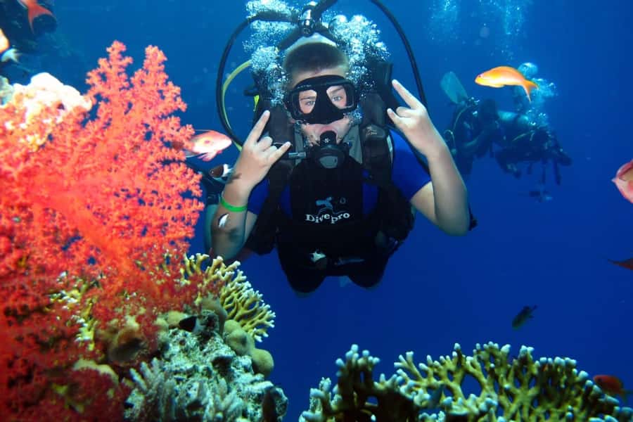 From Sharm: Ras Mohammed snorkeling cruise & optional diving - The crew and service matter here