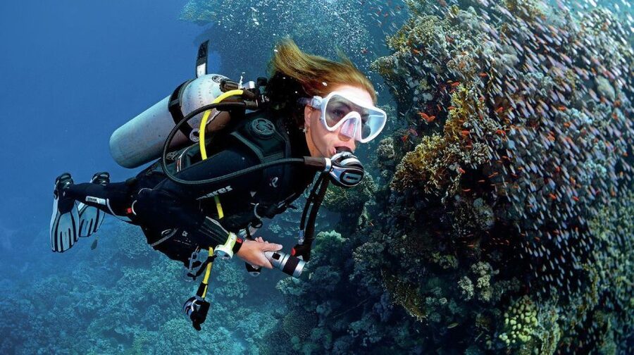 From Sharm: Ras Muhammed & White Island By Boat & intro Dive - Why Ras Mohammed Makes This Trip Worthwhile