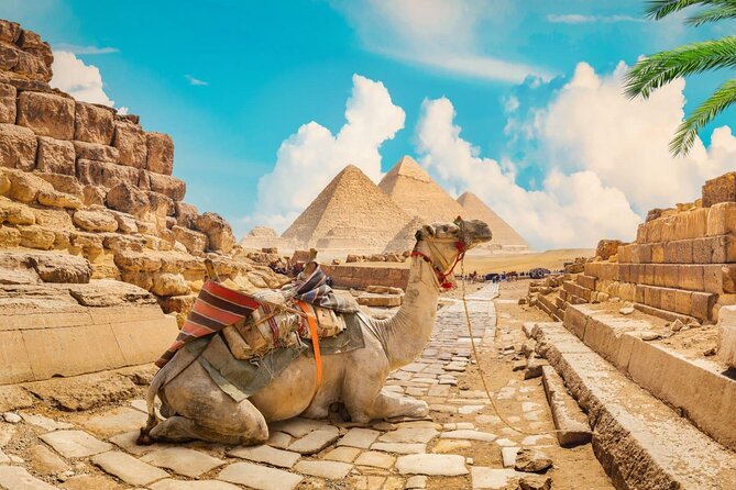 Full Day Cairo Guided Tour Pyramids and Museum, Lunch - Hurghada - The Papyrus Factory Visit