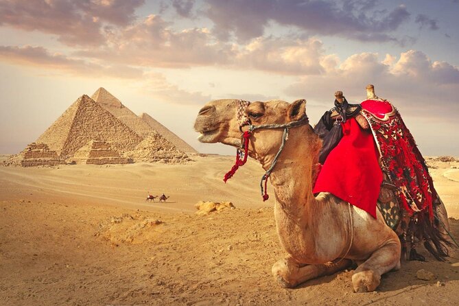 Full Day Cairo Guided Tour Pyramids and Museum, Lunch - Hurghada - The Egyptian Museum and Its Royal Mummies