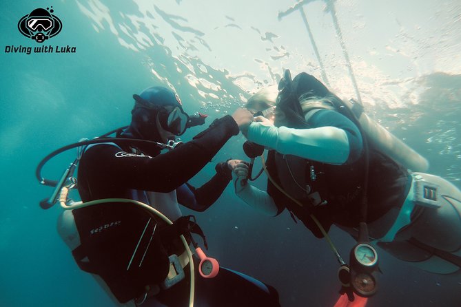 Full day diving with private guide, lunch drinks transportation - Key points before you book