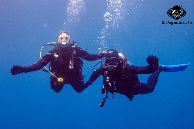 Full day diving with private guide, lunch drinks transportation - Your first underwater session