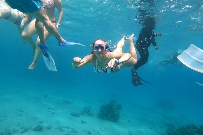 Full-day Dolphin House And Swim With Dolphin - Lunch on the boat, with mixed expectations