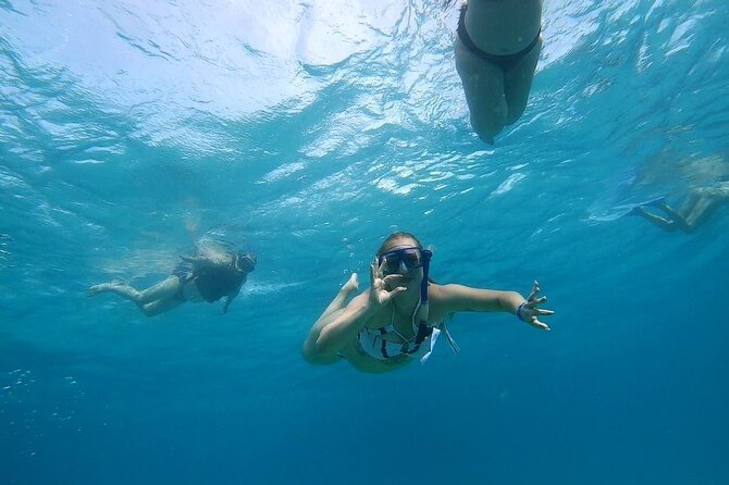 Full-day Dolphin House And Swim With Dolphin - Who should book this Dolphin House trip