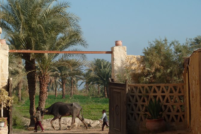 Full-Day Fayoum Oasis and Waterfalls of Wadi El-Rayan Tour from Cairo - Wadi El-Rayan and its desert waterfalls